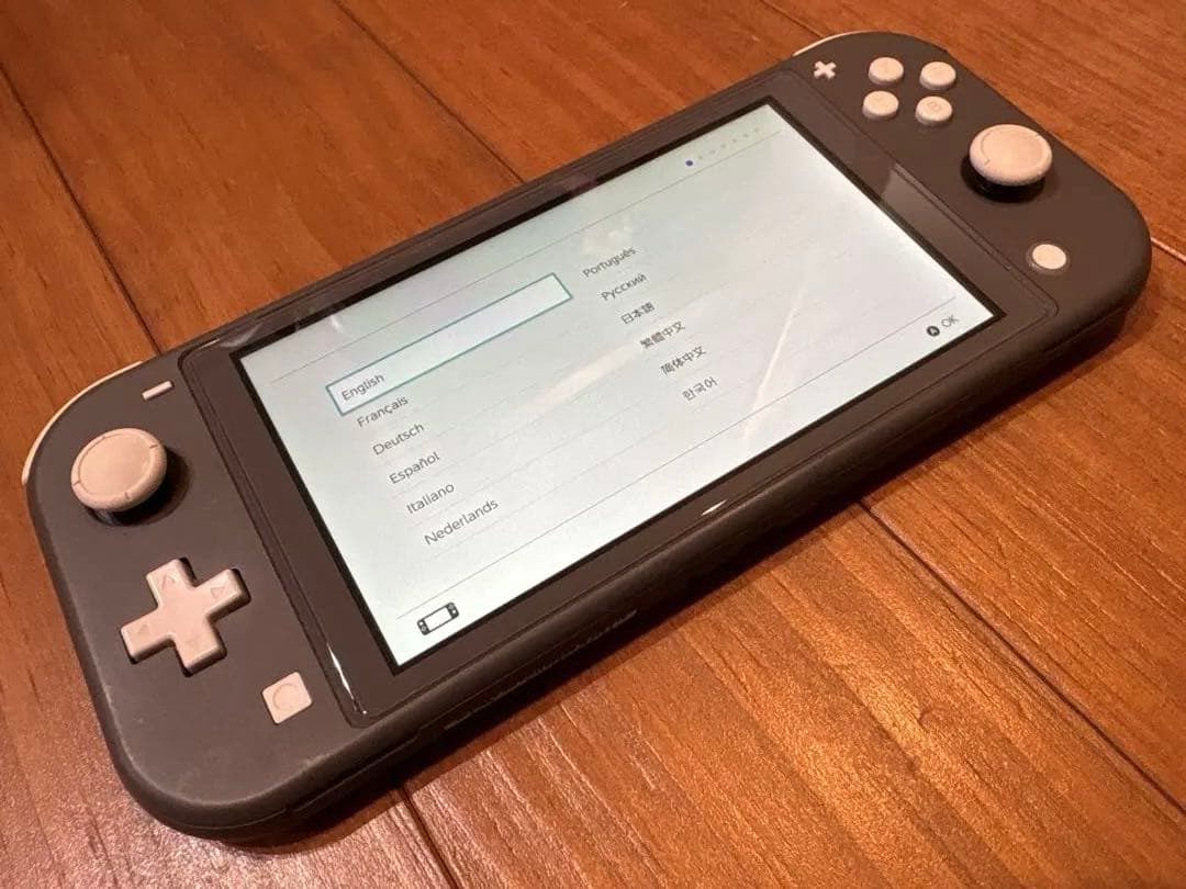 Nintendo Switch Lite グレー 本体、付属品