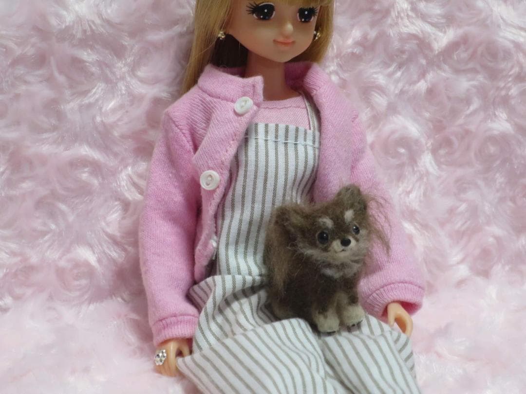 羊毛フェルト 犬 チワワ チョコタン パーティーカラー ミニチュアドールハウス
