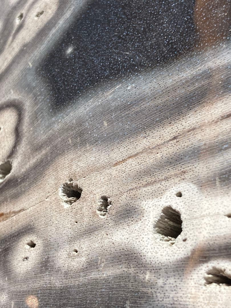 ペトリファイドウッド 原石 パワーストーン 天然石 珪化木