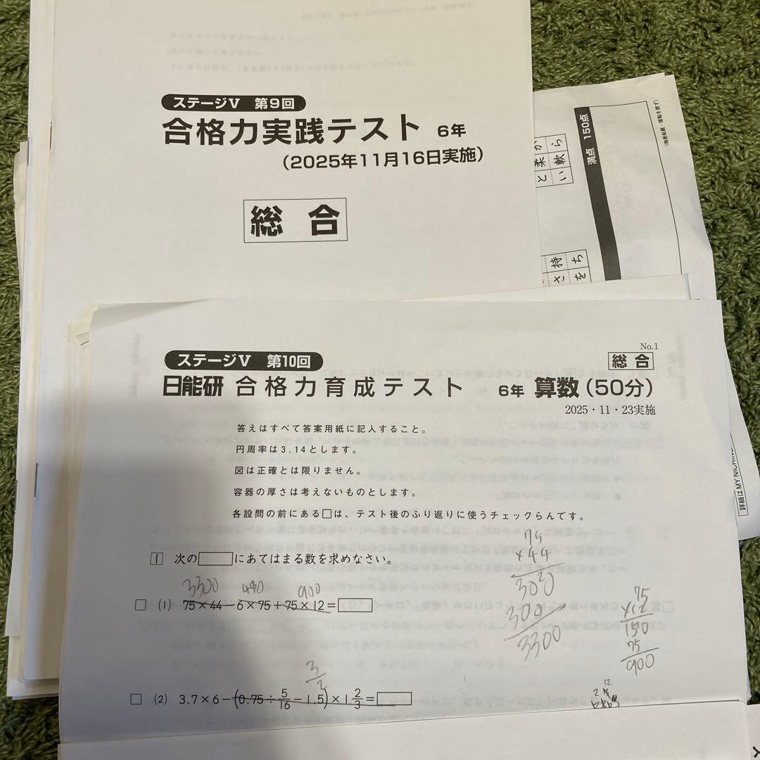 2025年 日能研 6年生 後期 合格力育成テスト・合格力実践テスト　計11回分