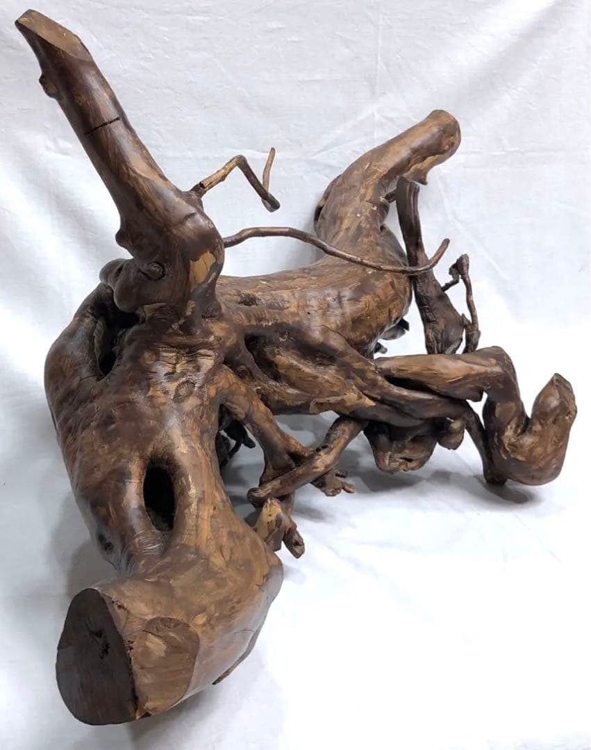 枯木 朽木 古木 流木 インテリア オブジェ アート　置物