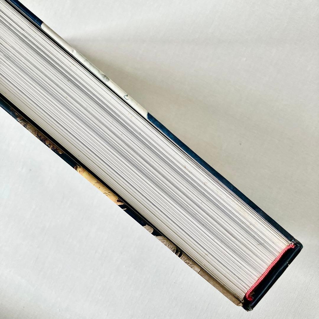 絶版 Henry Darger ヘンリー・ダーガー 非現実の王国で 画集 洋書