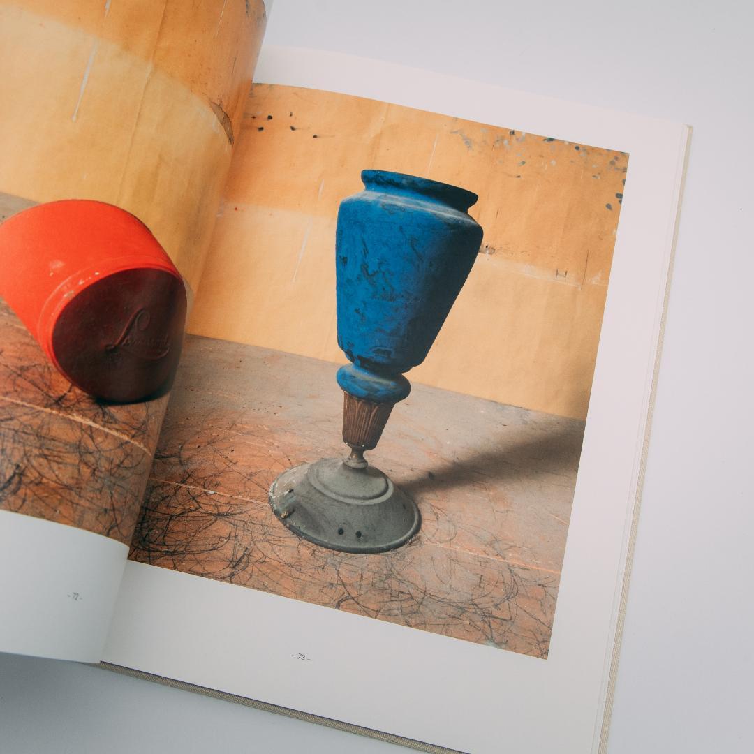 アート・デザイン・音楽 Joel Meyerowitz: Morandi's Objects