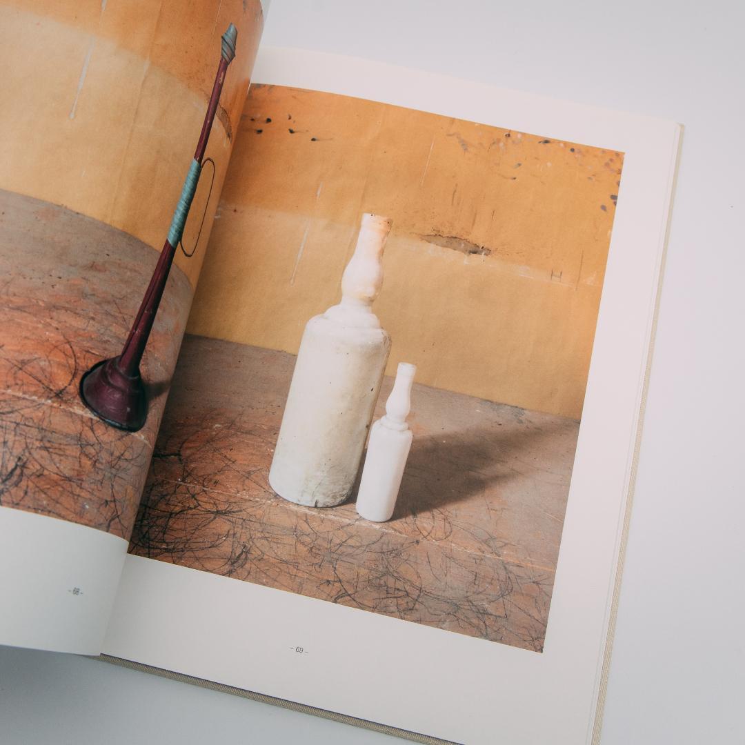 アート・デザイン・音楽 Joel Meyerowitz: Morandi's Objects