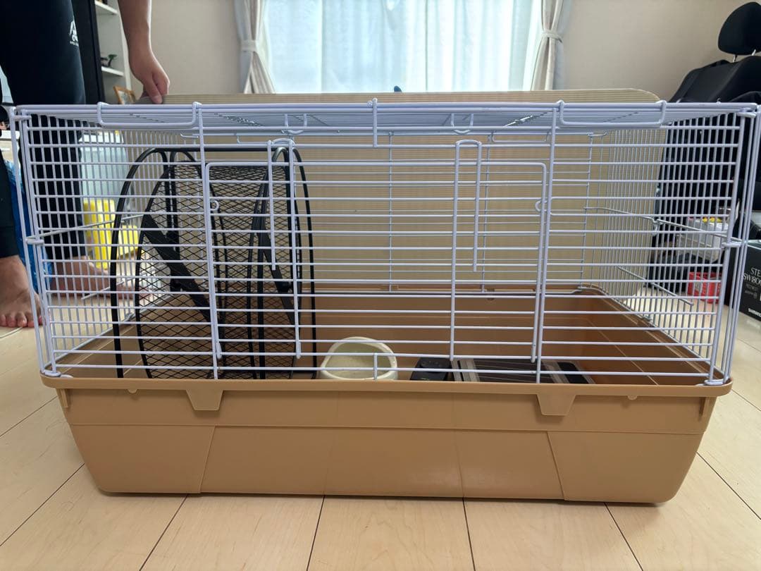 ハリネズミ　小動物　飼育セット