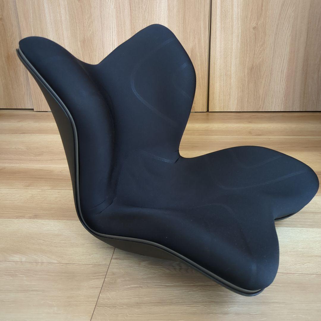 スタイル プレミアム シリーズ/Style PREMIUM