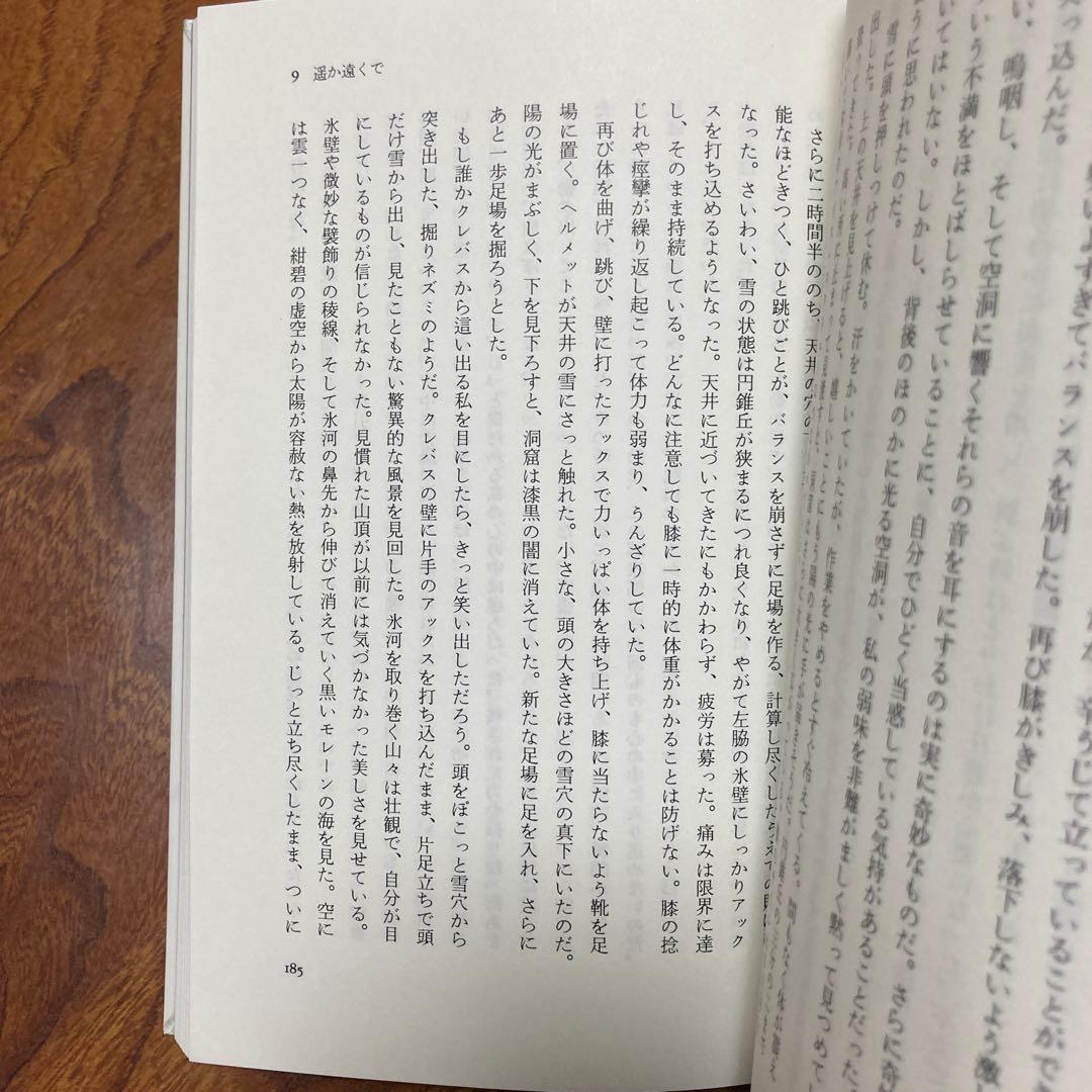 死のクレバス アンデス氷壁の遭難　除籍